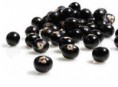 /album/monavie/acai-berry-jpeg/