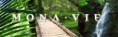 /album/acai-berry-antioxidant/monavie-acai-banner-composition4-jpg/